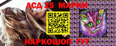 прущие грибы Дубна