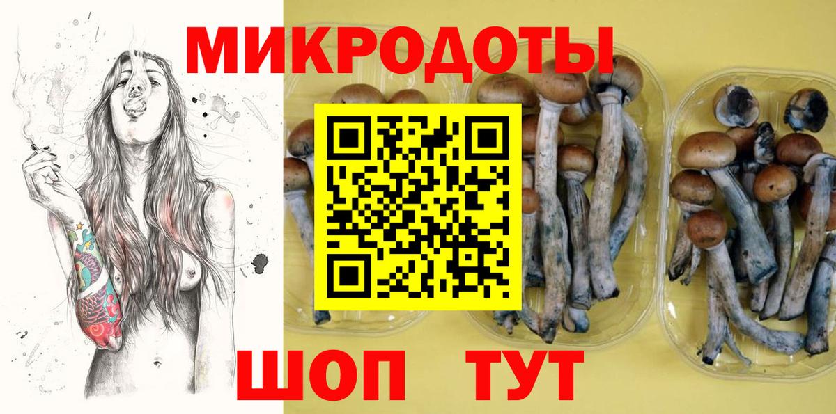 Галлюциногенные грибы GOLDEN TEACHER  Вход с VPN  Галлюциногенные грибы MAGIC MUSHROOMS  Мелеуз 